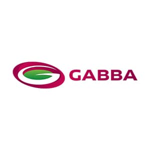Senor Tech Business Partner - Gabba Stadium